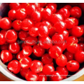 Commercial or Industrial use cherry pitter machine